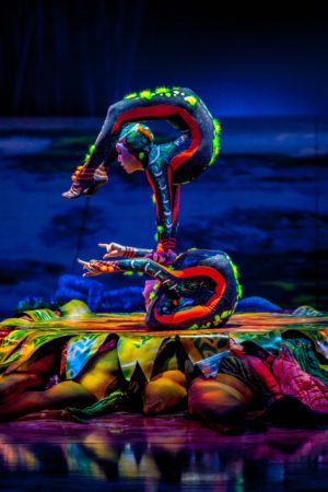 Le Cirque du Soleil revient à Paris avec TOTEM